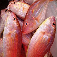 Pink Perch / Rani Fish
